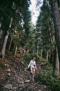 Rear view of girl walking in forest