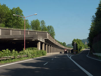 Empty road along trees and plants in city