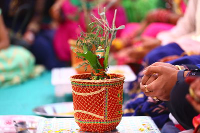 Close-up of people on potted plant