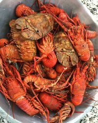 High angle view of crab in plate