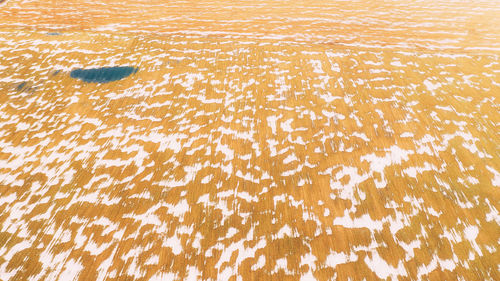 High angle view of snow covered field