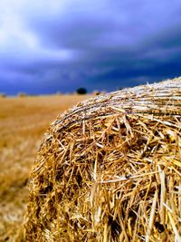 Close-up of hay bales on field against sky