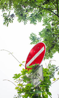Low angle view of road sign against trees