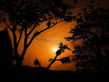 Silhouette of trees during sunset