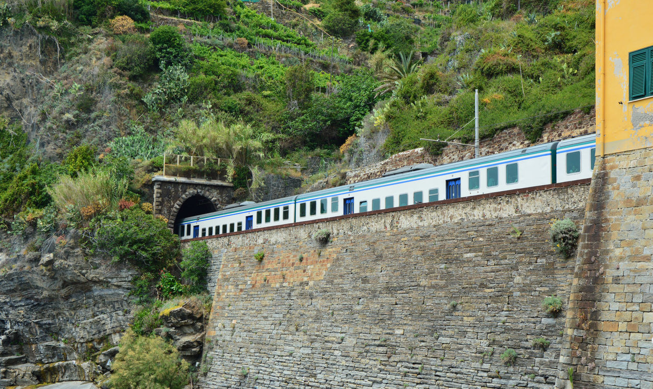 TRAIN AMIDST TREES AGAINST MOUNTAINS