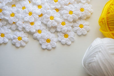 High angle view of white flowers on table