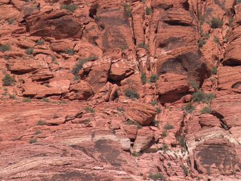 Full frame shot of red rock