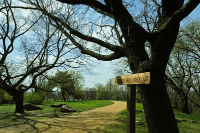 Low angle view of road sign against trees