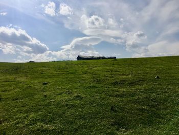 Horse cart on land against sky