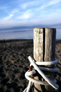 Close-up of wooden post