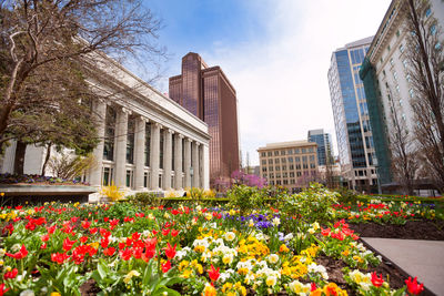 View of flowering plants by buildings against sky