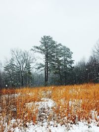 Snow covered field against clear sky