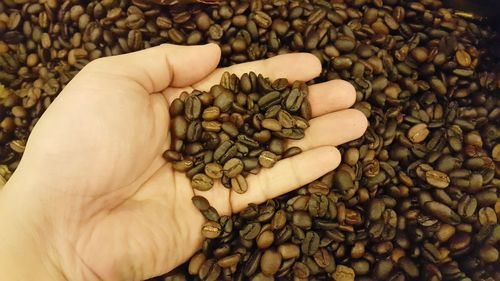 High angle view of hand holding roasted coffee beans