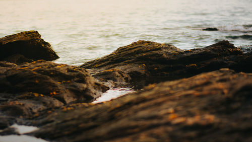 Rocks on beach