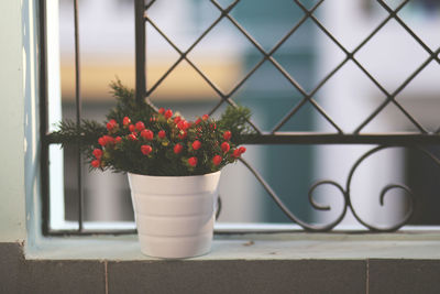 Close-up of red flower