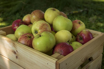 Close-up of apples in basket