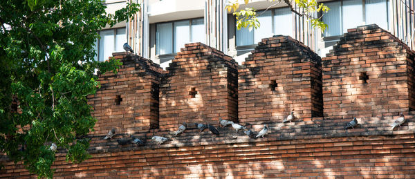 Low angle view of a building