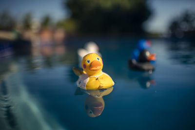Close-up of yellow toy floating on lake