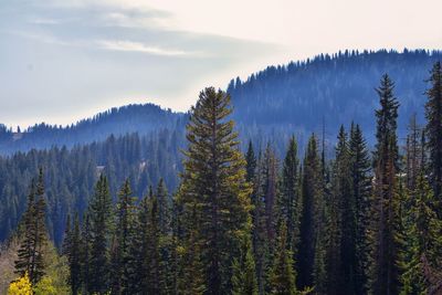 Lake martha hiking sunset peak, great western trail brighton rocky mountains, wasatch front, utah.