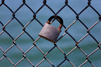 Close-up of padlocks on chainlink fence