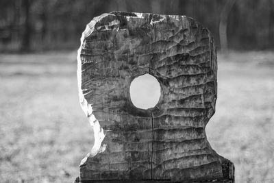 Close-up of carvings on tree trunk