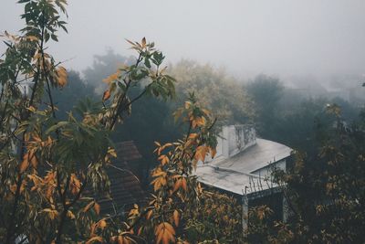 High angle view of houses amidst trees during foggy weather