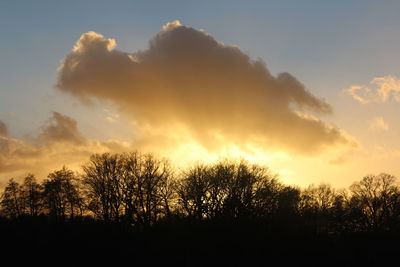 Low angle view of silhouette trees against sky during sunset