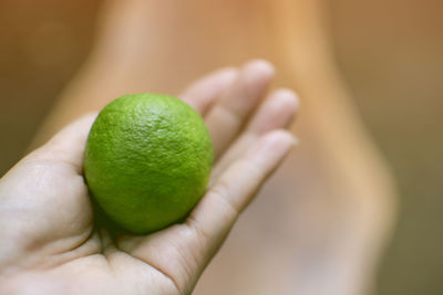 Close-up of hand holding fruit