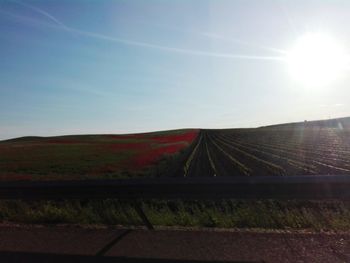 Sun shining over landscape