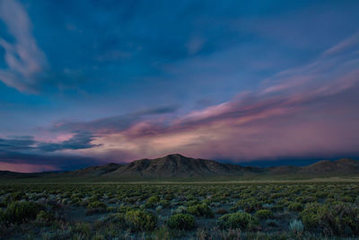 Scenic view of field against sky during sunset