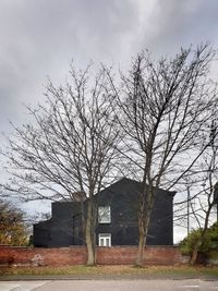 Bare tree on field by building against sky