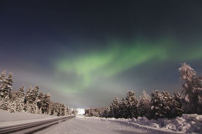 Road amidst trees against sky at night during winter
