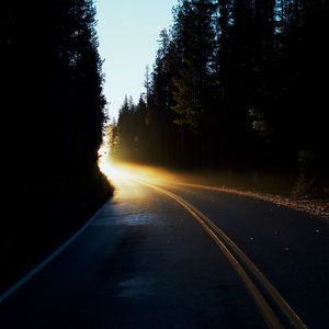 Empty road in forest against sky at sunset