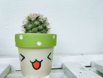 Close-up of potted plant on table