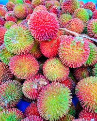 Full frame shot of succulent plant in market