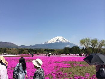 Scenic view of landscape against clear blue sky