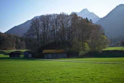 Scenic view of barn and trees against sky