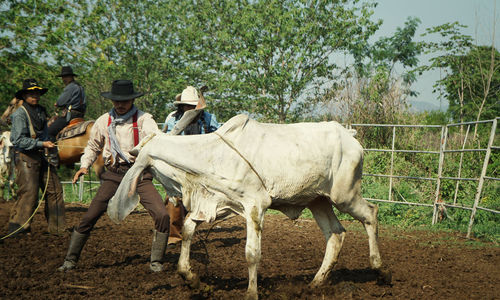 People riding horse in ranch
