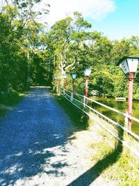 Road amidst trees against sky