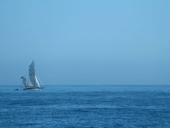 Sailboat sailing in sea against clear sky