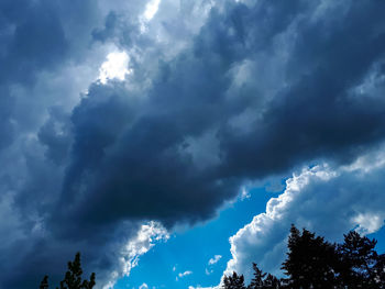 Low angle view of trees against blue sky