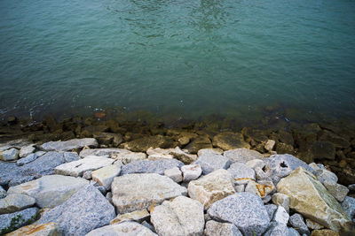 High angle view of stones at lakeshore