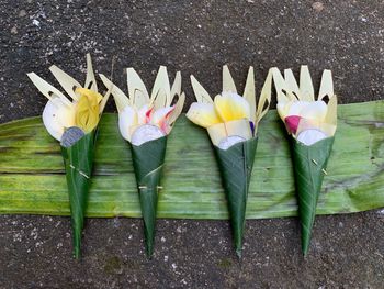 High angle view of multi colored umbrellas on wooden floor