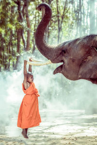 Full length of boy holding elephant trunk on field