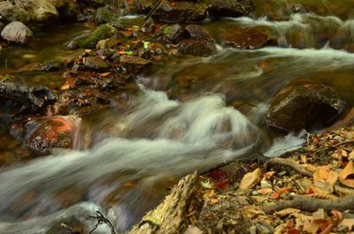 Stream flowing through rocks in forest