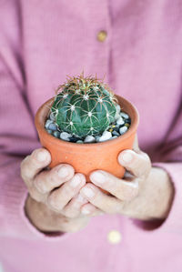 Close-up of hand holding succulent plant