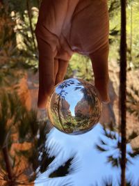 Reflection of person hand holding ball on glass