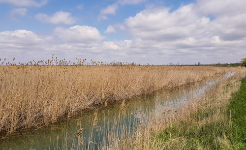 Scenic view of field against cloudy sky