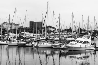 Boats moored at harbor