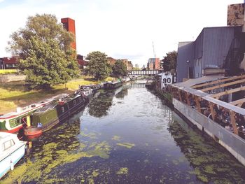 Scenic view of river in city against sky